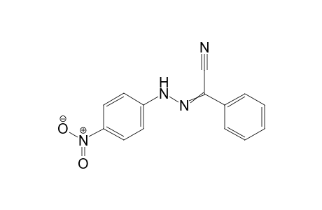 2-[2-(4-Nitrophenyl)hydrazono]-2-phenylacetonitrile
