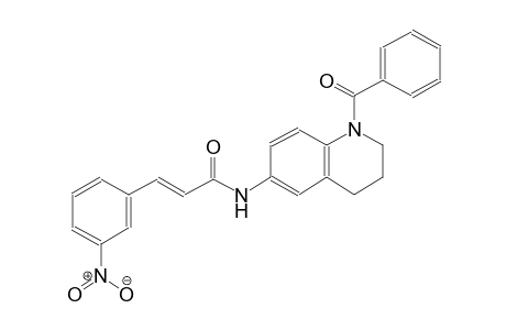 (2E)-N-(1-benzoyl-1,2,3,4-tetrahydro-6-quinolinyl)-3-(3-nitrophenyl)-2-propenamide