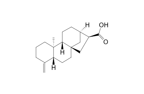 (4aR,6aS,8S,9R,11aR,11bR)-Tetradecahydro-11b-methyl-4-methylidene-6a,9-methanocyclohepta[a]naphthalene-8-carboxylic Acid