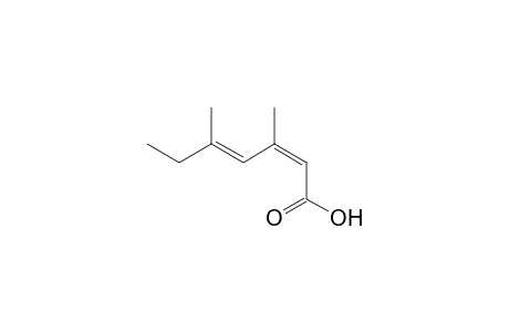 (2Z,4E)-3,5-dimethylhepta-2,4-dienoic acid