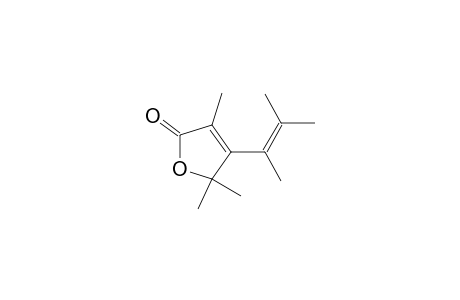 2(5H)-Furanone, 4-(1,2-dimethyl-1-propenyl)-3,5,5-trimethyl-