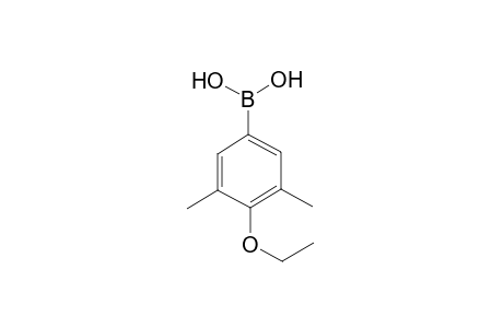 3,5-Dimethyl-4-ethoxybenzeneboronic acid