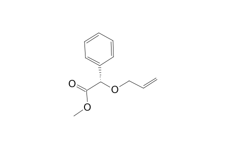 (2S)-2-allyloxy-2-phenyl-acetic acid methyl ester