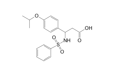 3-(benzenesulfonamido)-3-(4-isopropoxyphenyl)propanoic acid