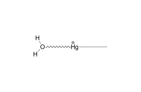 [HG(CH3)(H2O)]+