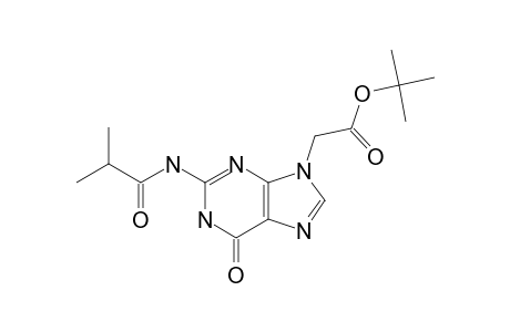 2-[2-(isobutyrylamino)-6-keto-3H-purin-9-yl]acetic acid tert-butyl ester