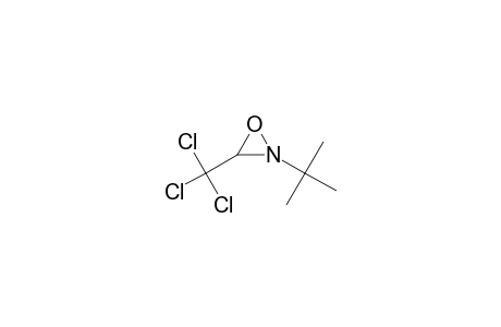 2-tert-Butyl-3-(trichloromethyl)-1,2-oxaziridine