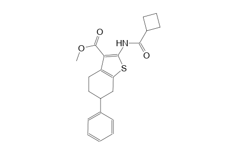 methyl 2-[(cyclobutylcarbonyl)amino]-6-phenyl-4,5,6,7-tetrahydro-1-benzothiophene-3-carboxylate