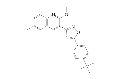 3-[5-(4-tert-butylphenyl)-1,2,4-oxadiazol-3-yl]-6-methyl-2-quinolinyl methyl ether
