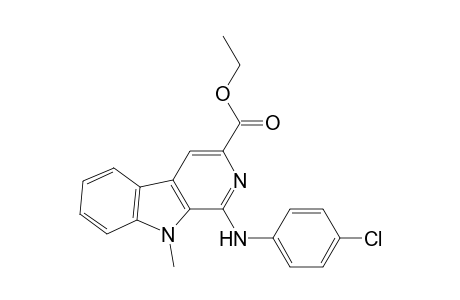 5H-Pyrido[4,3-b]indole-3-carboxylic acid, 1-[(4-chlorophenyl)amino]-5-methyl-, ethyl ester