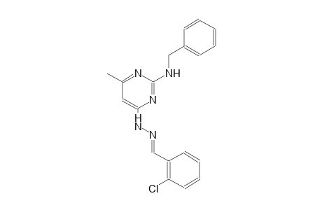 2-chlorobenzaldehyde [2-(benzylamino)-6-methyl-4-pyrimidinyl]hydrazone