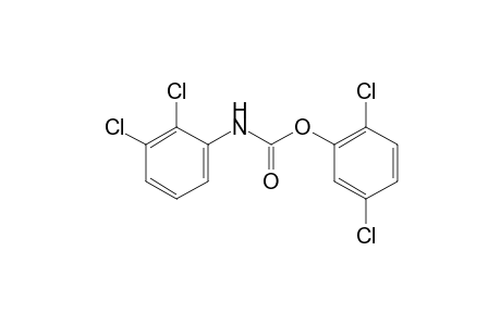 2,3-dichlorocarbanilic acid, 2,5-dichlorophenyl ester