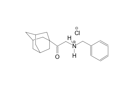 2-(1-adamantyl)-N-benzyl-2-oxoethanaminium chloride