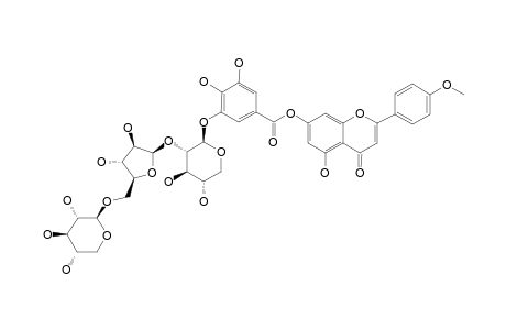 4-METHOXYAPIGENIN-7-O-(3-GALLOYL)-ALPHA-D-ARABINOPYRANOSYL-(2->1)-APIOFURANOSYL-(3->1)-ALPHA-D-ARABINOPYRANOSIDE