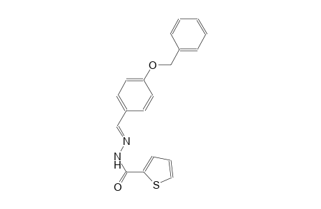 N'-{(E)-[4-(benzyloxy)phenyl]methylidene}-2-thiophenecarbohydrazide