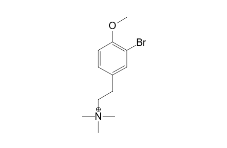 2-(3-BROMO-4-HYDROXYPHENYL)-N,N,N-TRIMETHYLETHAN-AMINIUM