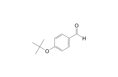 4-tert-Butoxybenzaldehyde