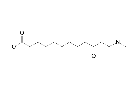 12-Dimethylamino-10-oxododecanoic acid