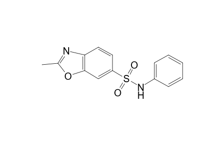 6-Benzoxazolesulfonamide, 2-methyl-N-phenyl-