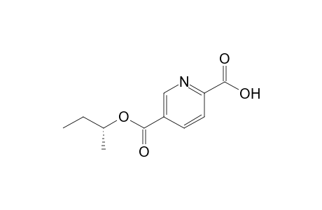 5-Carbo(R,S)-secbutyloxypyridine-2-carboxylic acid