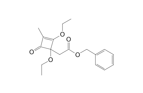 Benzyl (1,2-diethoxy-3-methyl-4-oxo-2-cyclobutenyl)acetate