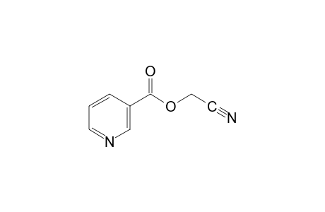 nicotinic acid, cyanomethyl ester