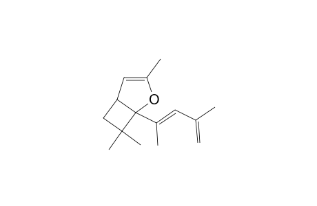 1-(1,3-Dimethyl-buta-1,3-dienyl)-3,7,7-trimethyl-2-oxa-bicyclo[3.2.0]hept-3-ene
