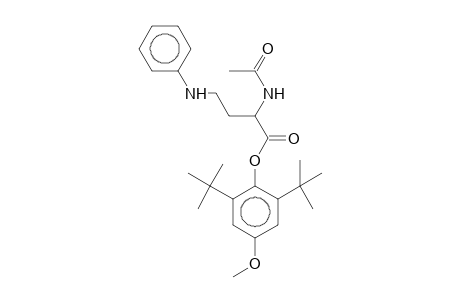 2-Acetylamino-4-phenylamino-butyric acid, 2,6-di-t-butyl-4-methoxy-phenyl ester
