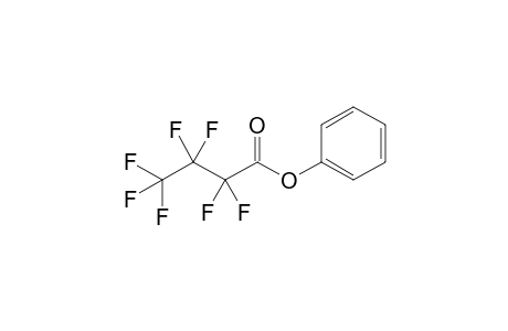 2,2,3,3,4,4,4-heptafluorobutanoic acid phenyl ester