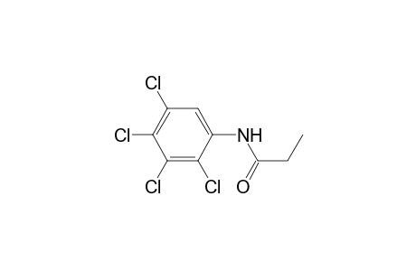 N-(2,3,4,5-tetrachlorophenyl)propionamide