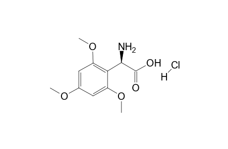 d-.alpha.-amino-2,4,6-trimethoxyphenylacetic hydrochloride