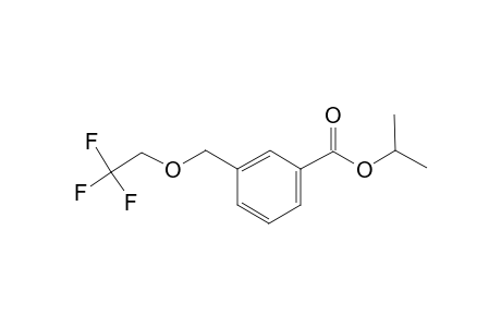 Isopropyl 3-[(2,2,2-trifluoroethoxy)methyl]benzoate