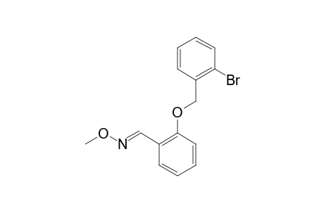 2-(2-BROMOBENZYLOXY)-BENZALDEHYDE-O-METHYLOXIME