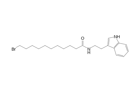 11-bromanyl-N-[2-(1H-indol-3-yl)ethyl]undecanamide