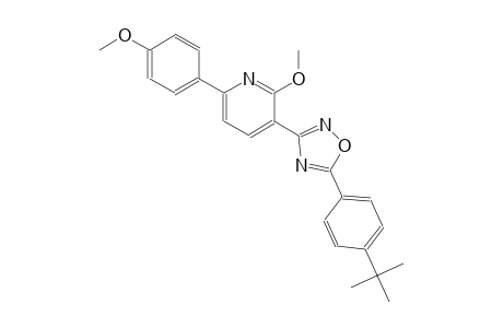 3-[5-(4-tert-butylphenyl)-1,2,4-oxadiazol-3-yl]-2-methoxy-6-(4-methoxyphenyl)pyridine