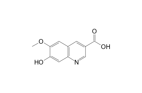 7-hydroxy-6-methoxy-3-quinolinecarboxylic acid