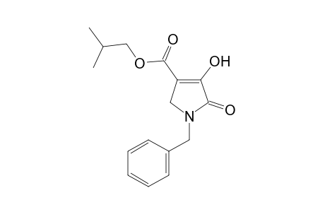 1-benzyl-4-hydroxy-5-oxo-3-pyrroline-3-carboxylic acid, isobutyl ester