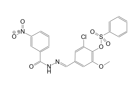 2-chloro-6-methoxy-4-{(E)-[(3-nitrobenzoyl)hydrazono]methyl}phenyl benzenesulfonate