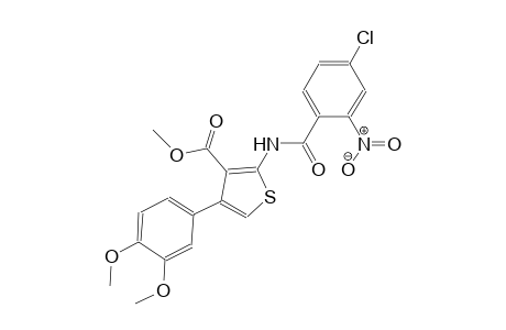 methyl 2-[(4-chloro-2-nitrobenzoyl)amino]-4-(3,4-dimethoxyphenyl)-3-thiophenecarboxylate
