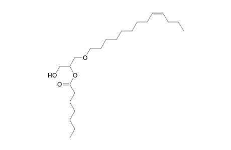 DG O-13:1_7:0