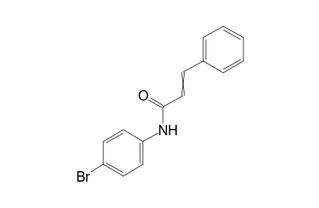 N-(4-bromophenyl)cinnamamide