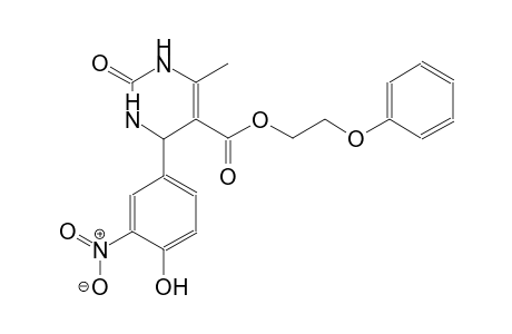 2-phenoxyethyl 4-(4-hydroxy-3-nitrophenyl)-6-methyl-2-oxo-1,2,3,4-tetrahydro-5-pyrimidinecarboxylate
