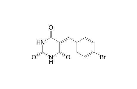 5-(4-bromobenzylidene)barbituric acid