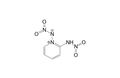 2-NITRAMINOPYRIDIN-1-NITROIMIDE