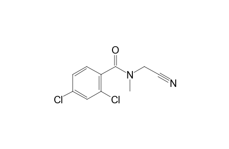 2,4-Dichloro-N-cyanomethyl-N-methylbenzamide