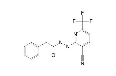 2-BENZYL-CARBONYL-HYDRAZINO-3-CYANO-6-TRIFLUOROMETHYL-PYRIDINE