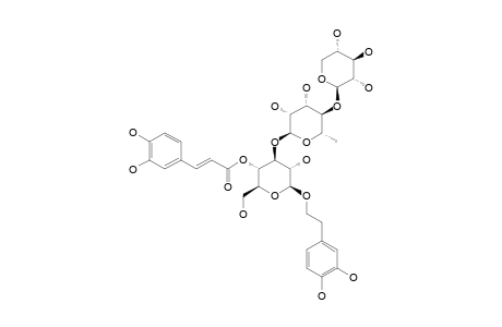 TRICHOSNATHOSIDE_A;3,4-DIHYDROXY-BETA-PHENYLETHOXY-O-BETA-D-XYLOPYRANOSYL-(1->4)-ALPHA-L-RHAMNOPYRANOSYL-(1->3)-4-O-CAFFEOYL-BETA-D-GLUCOPYRANOSIDE