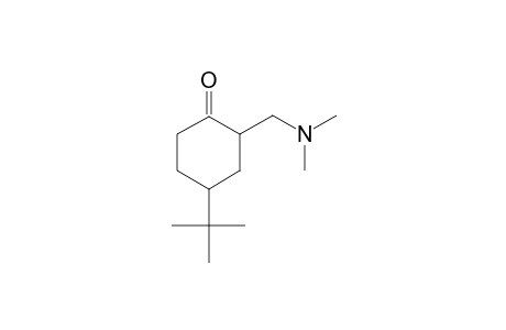 4-tert-Butyl-2-[(dimethylamino)methyl]cyclohexanone