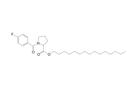 L-Proline, N-(4-fluorobenzoyl)-, pentadecyl ester