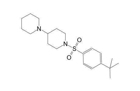 1'-((4-(tert-butyl)phenyl)sulfonyl)-1,4'-bipiperidine